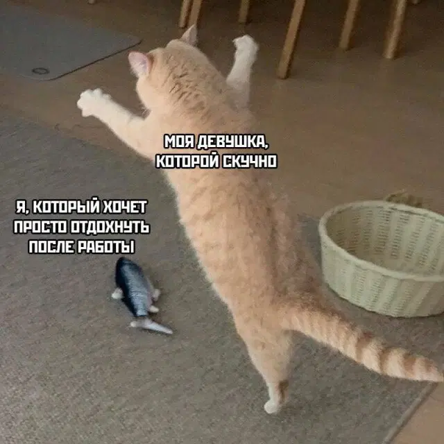 Дичи на воскресный отдых