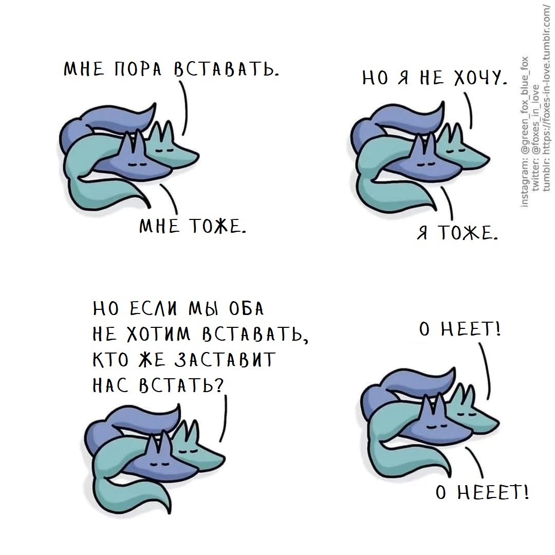 Лисья любовь 1-10