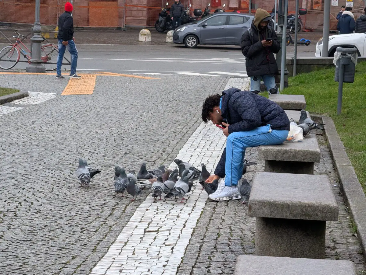 Итальянец  кормит голубей.