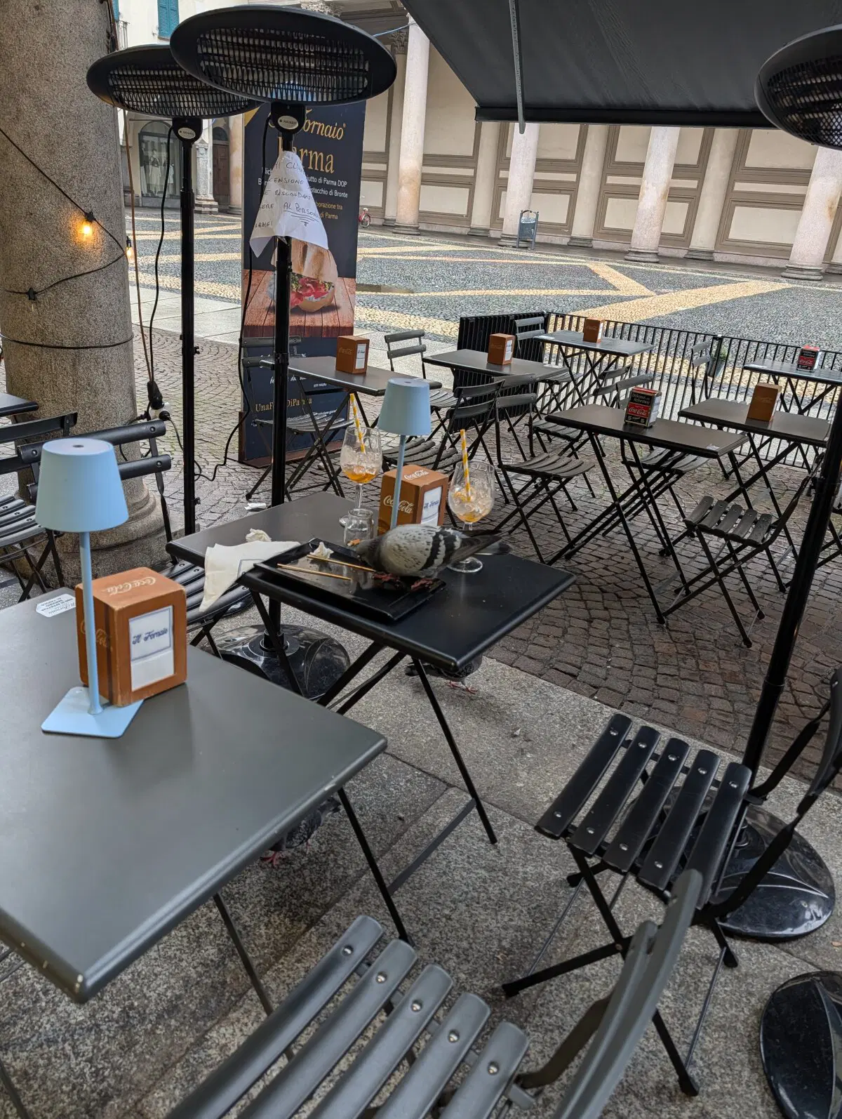 Хотя голуби и сами неплохо находят еду.