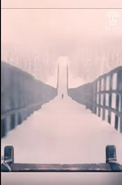 Ивент Вомбата. Слово недели - дурочка