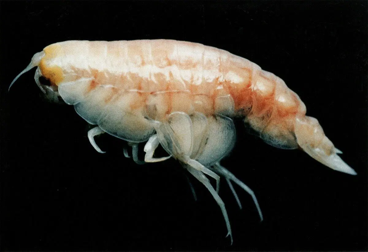 © nationalgeographic.com