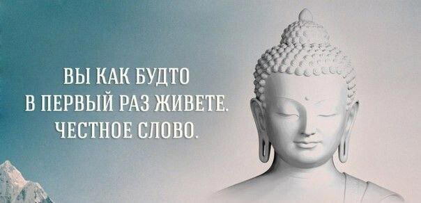 Дички на похмельник