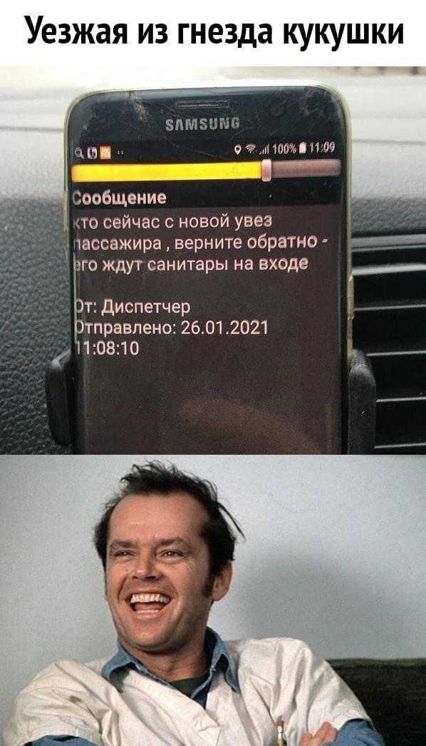 Дички на похмельник