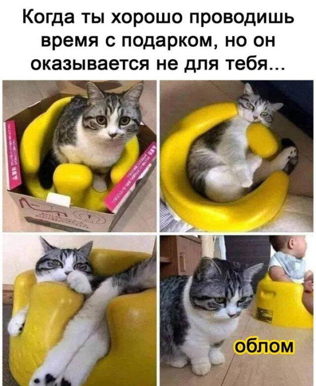 Дички на похмельник