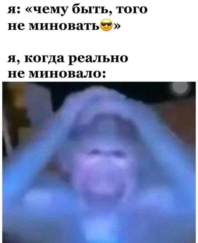 Дички на похмельник