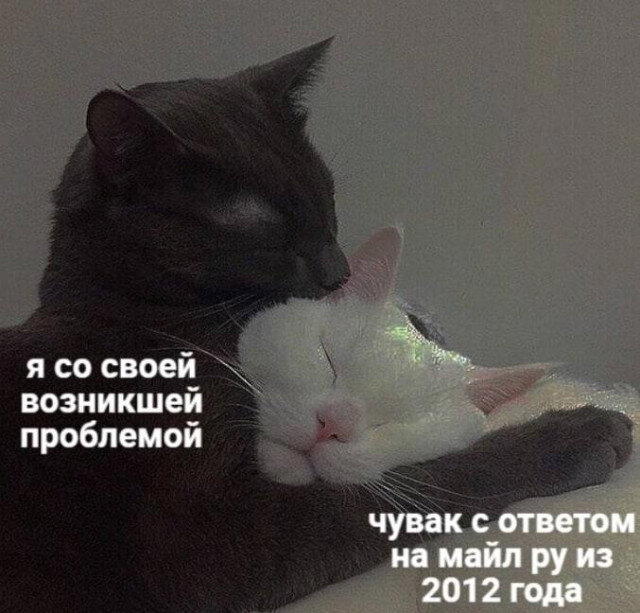 Дички на похмельник