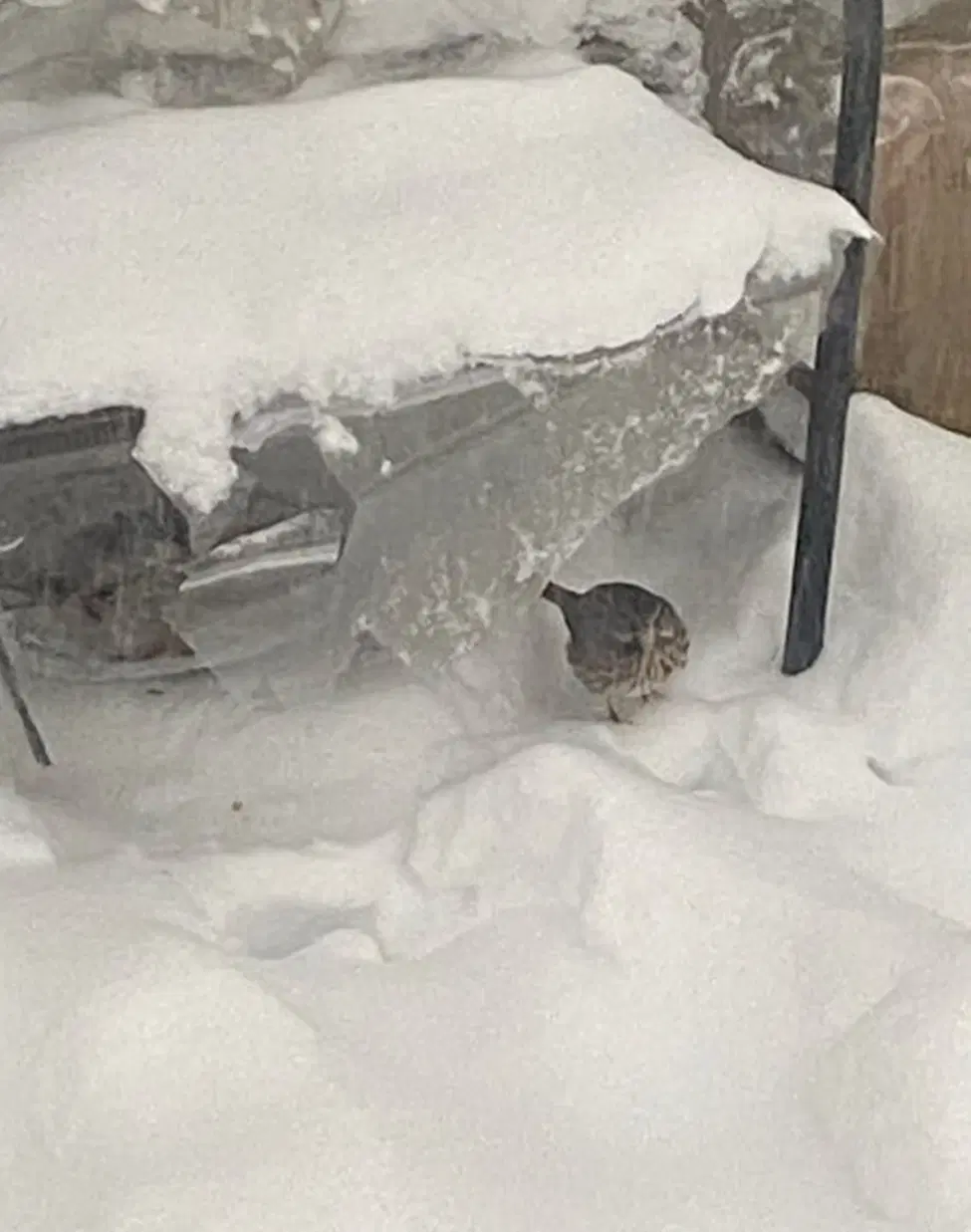 У природы это лучше получается