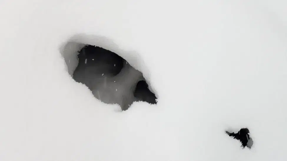 У природы это лучше получается