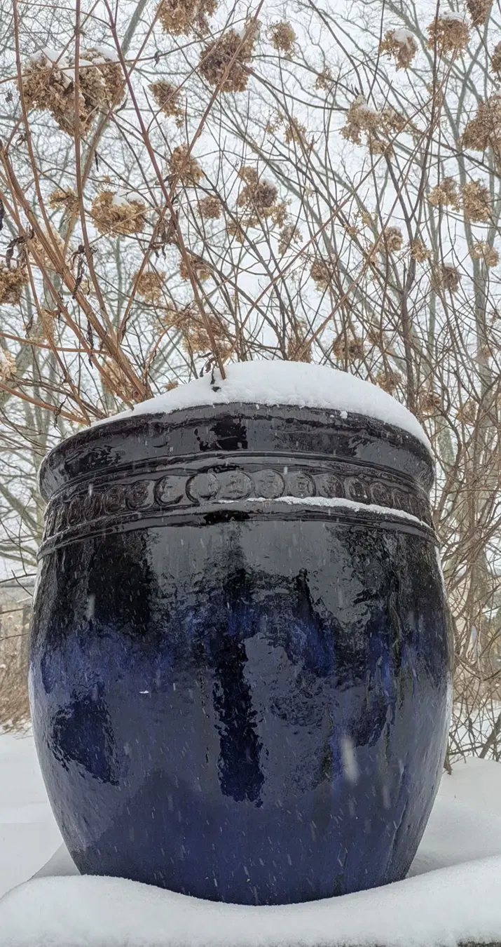 У природы это лучше получается