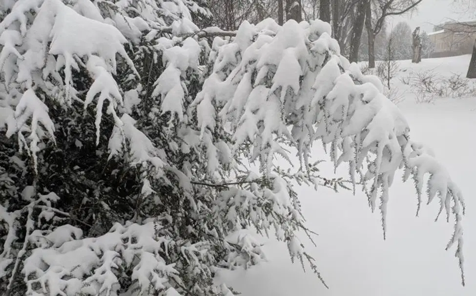 У природы это лучше получается