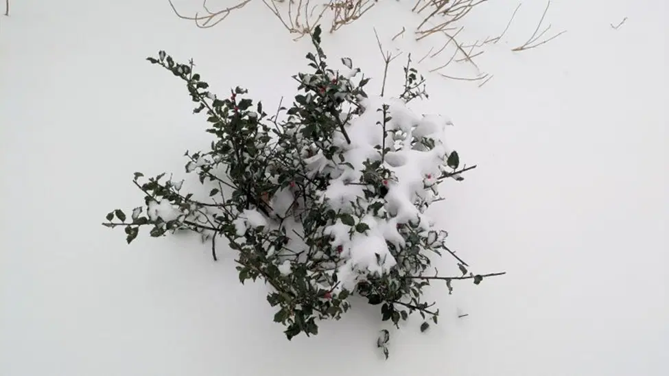 У природы это лучше получается