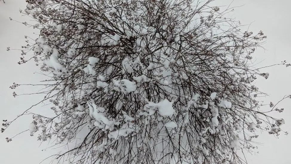 У природы это лучше получается