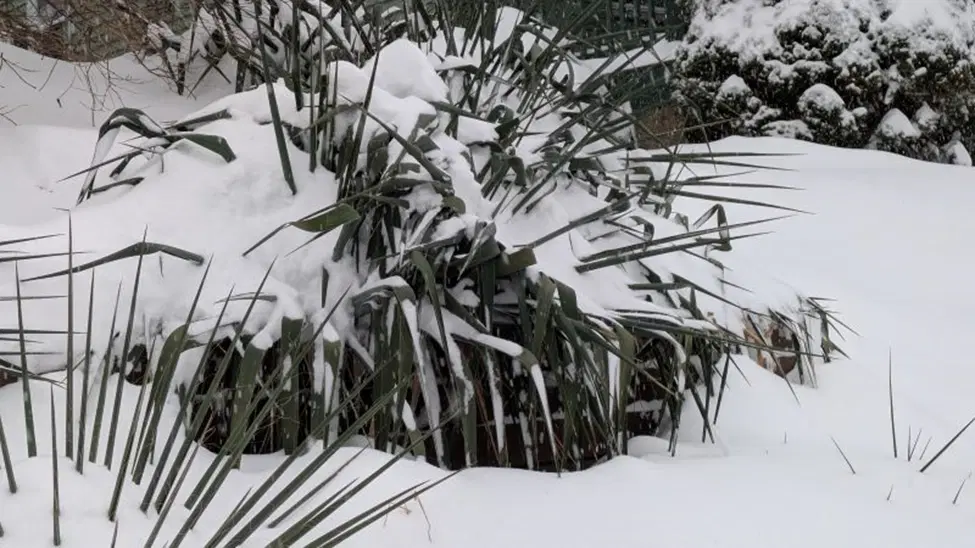 У природы это лучше получается