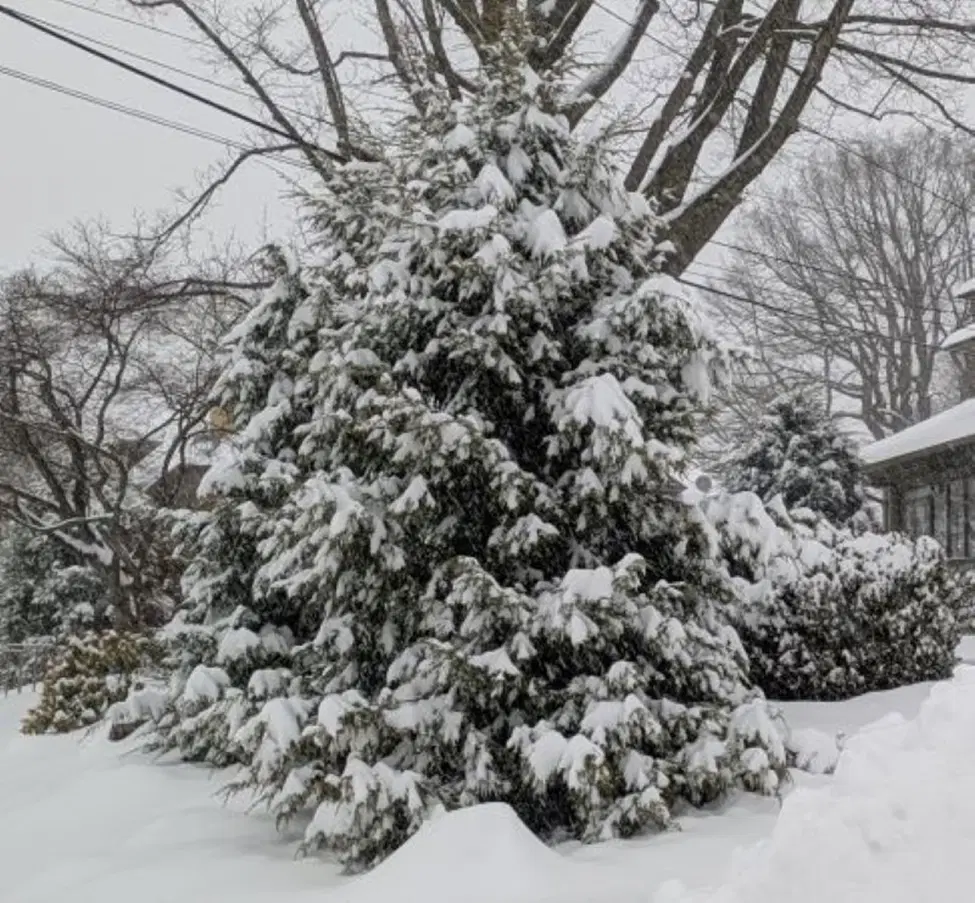 У природы это лучше получается