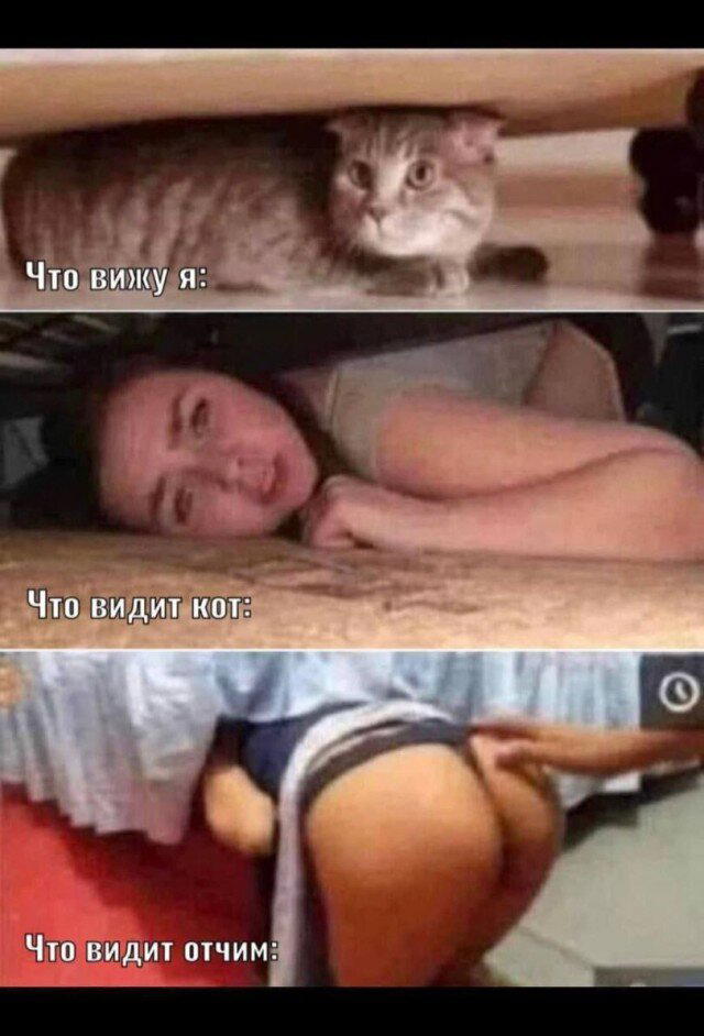 Немного дички лучше 2