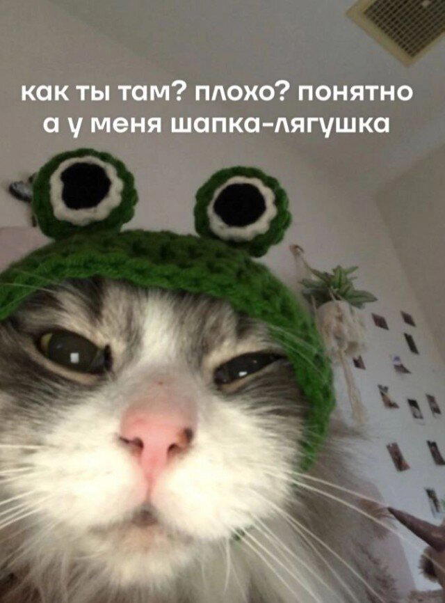 Немного дички лучше 2