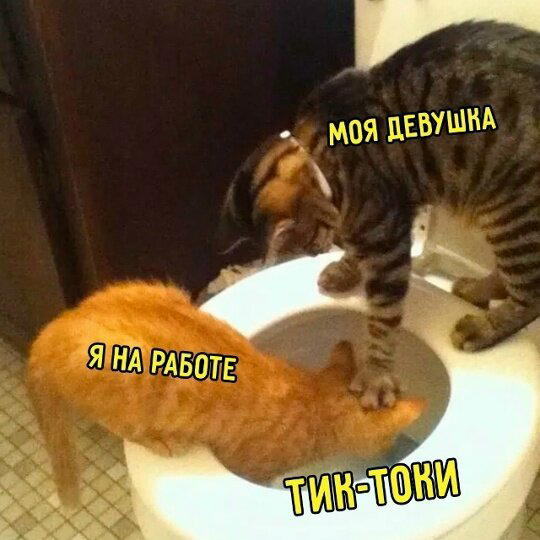 Немного дички лучше 2