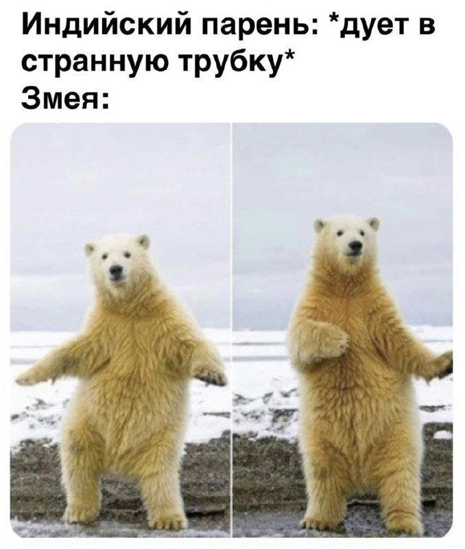 Немного дички лучше 2