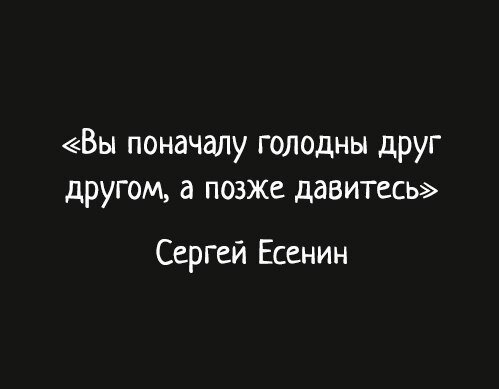 Немного дички лучше 2