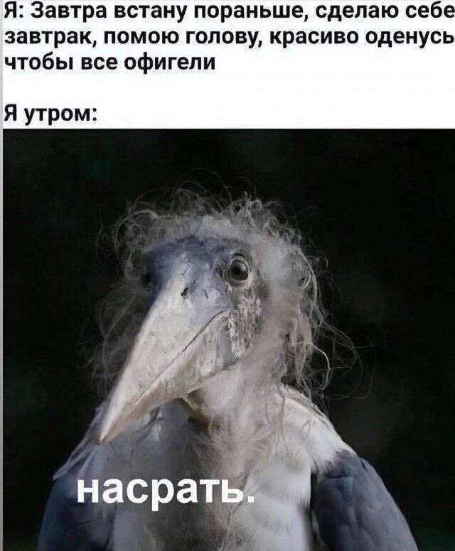 Немного дички лучше 2