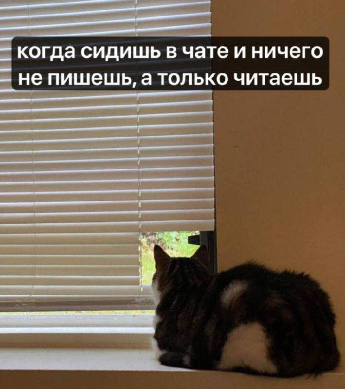 Немного дички лучше 2