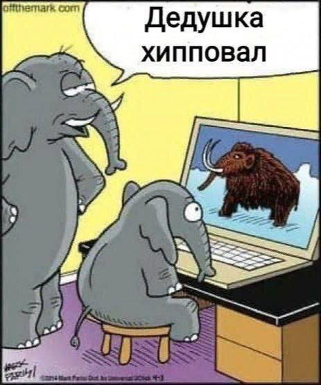 Дичька вторника кислинка