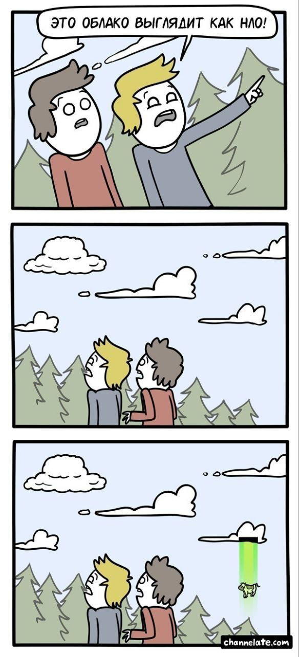 Дичька вторника кислинка