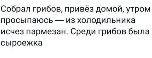 Дичька вторника кислинка