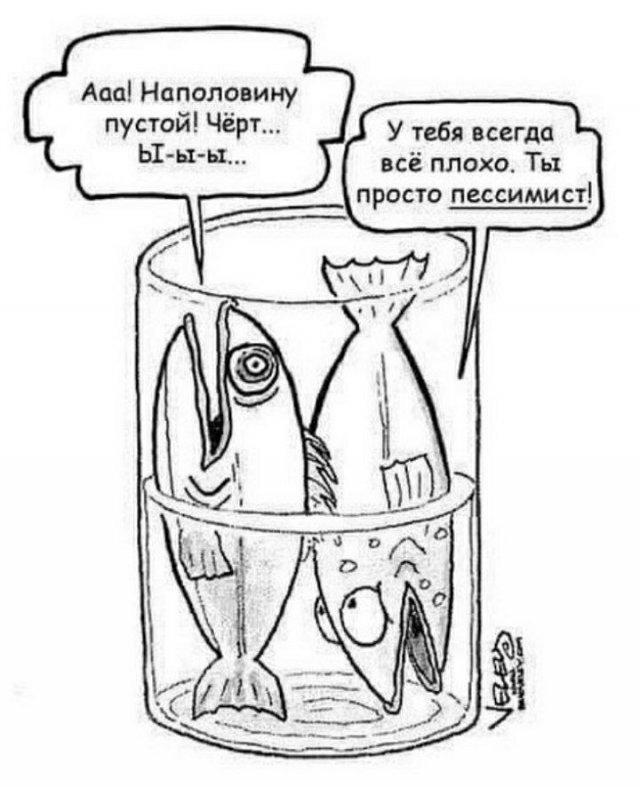 Дичька вторника кислинка