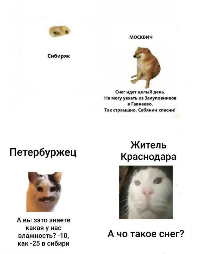 Дичька вторника кислинка