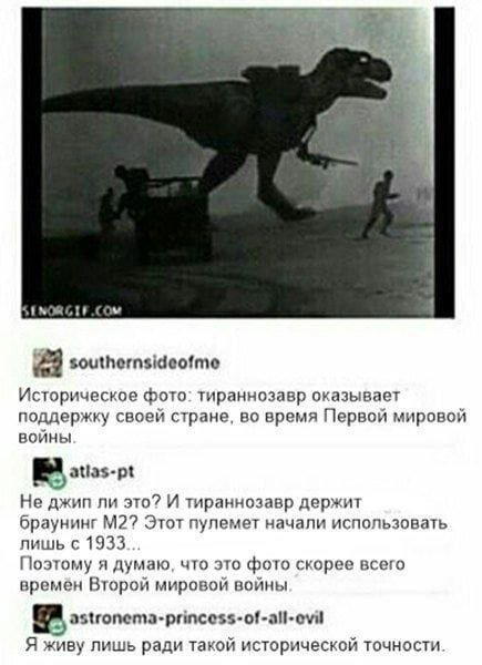 Дичька вторника кислинка