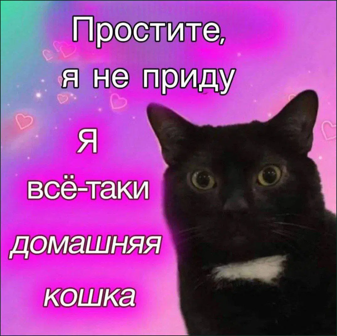 Вторник а вкусс дичи нет...