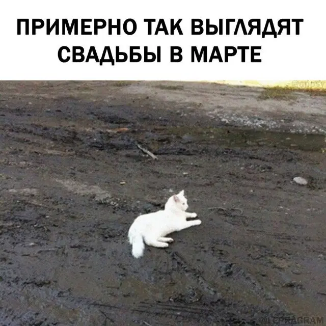 Вторник а вкусс дичи нет...