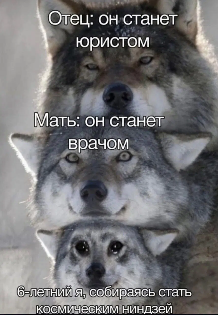 Вторник а вкусс дичи нет...