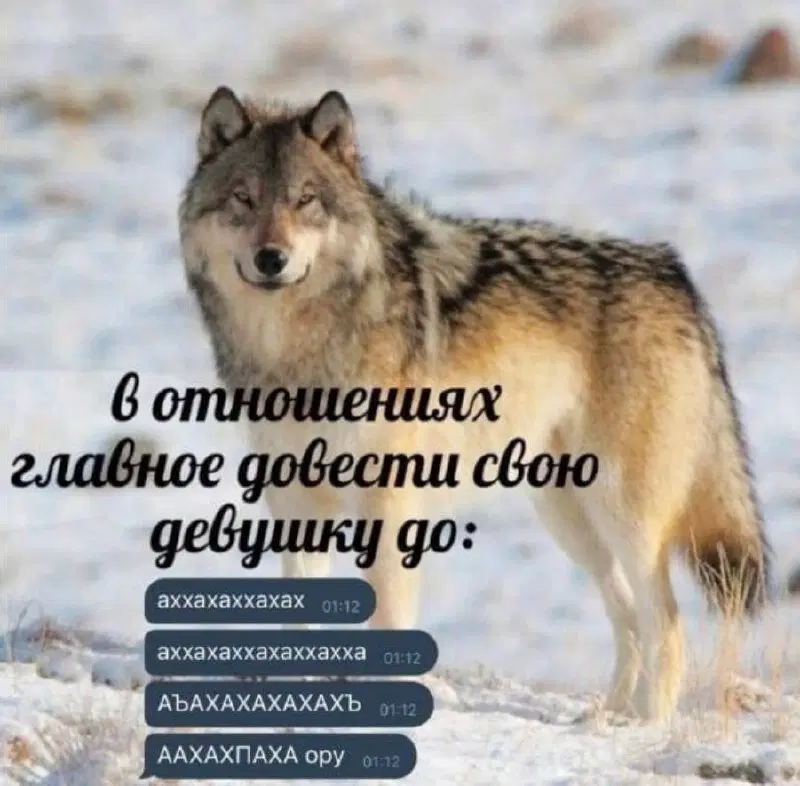 Вторник а вкусс дичи нет...