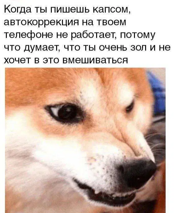 Вторник а вкусс дичи нет...