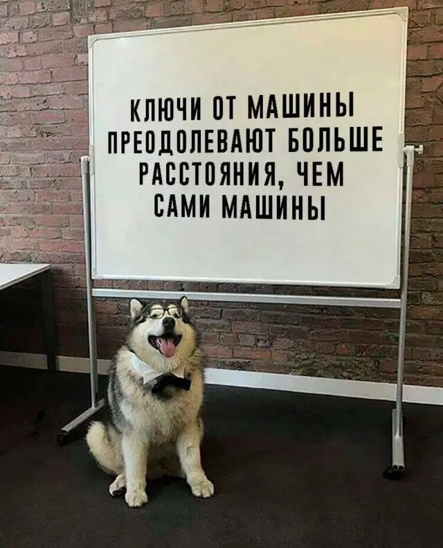 Вторник а вкусс дичи нет...