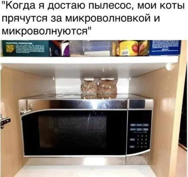 Вторник а вкусс дичи нет...