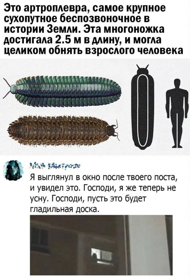 Вторник а вкусс дичи нет...