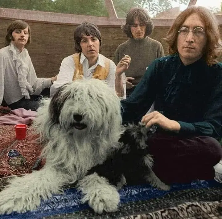 The Beatles. Martha My Dear.