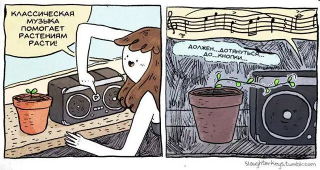 Дички на среду пригорошня