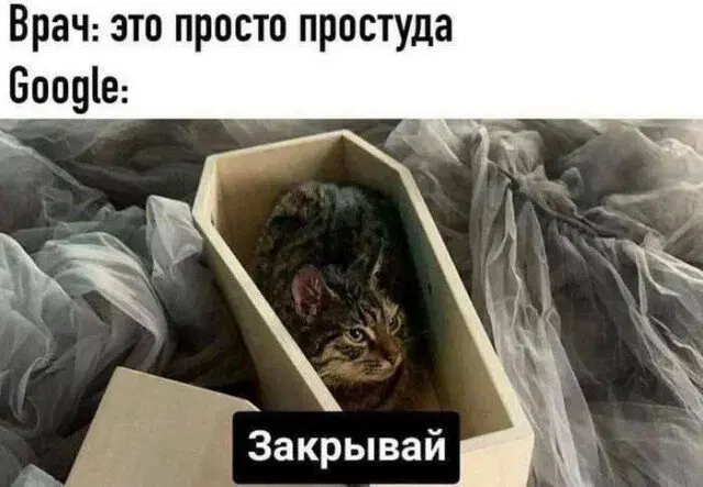 Дички на среду пригорошня