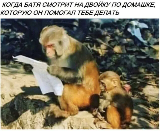 Дички на среду пригорошня