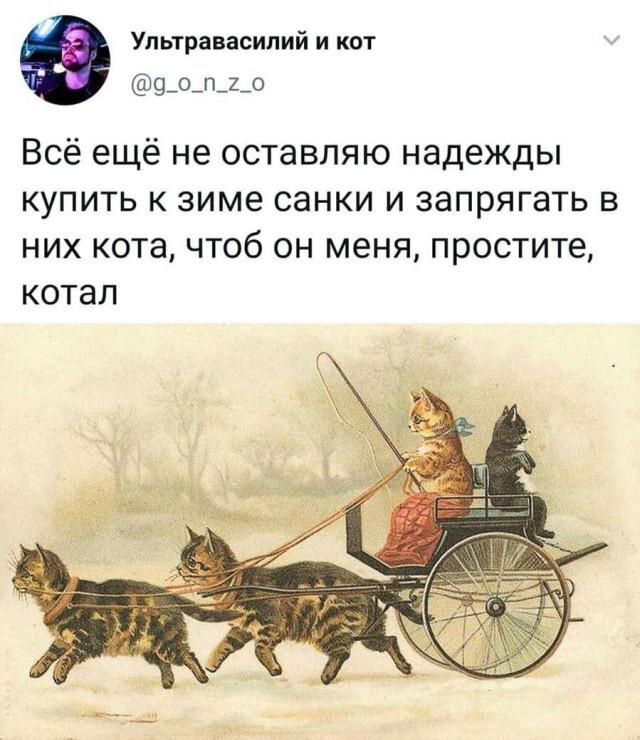 Дички на среду пригорошня