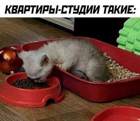 Завтра у дички выходной