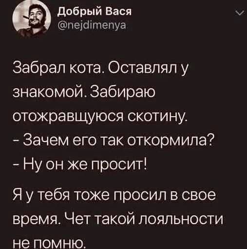 Завтра у дички выходной
