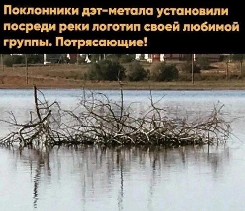 Завтра у дички выходной