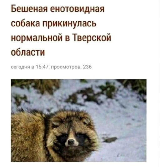 Завтра у дички выходной