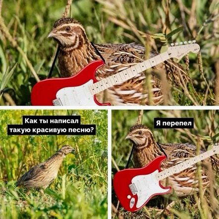 Завтра у дички выходной